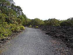 Rangitoto