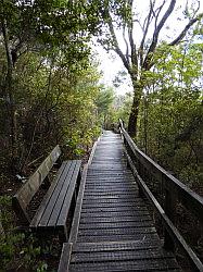 Rangitoto