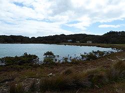 Rangitoto