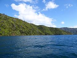 De boot naar Queen Charlotte Track