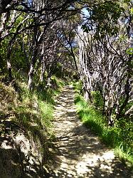 De Queen Charlotte track