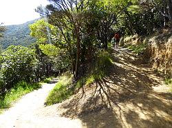 De Queen Charlotte track