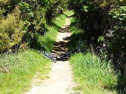 De Queen Charlotte track