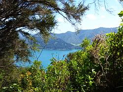 De Queen Charlotte track