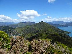 De Queen Charlotte track