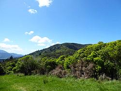 De Queen Charlotte track