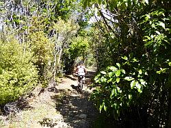 De Queen Charlotte track