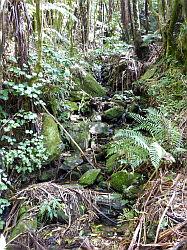 De Queen Charlotte track