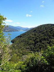 De Queen Charlotte track