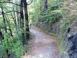 De Queen Charlotte track