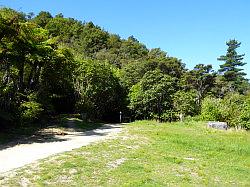 De Queen Charlotte track