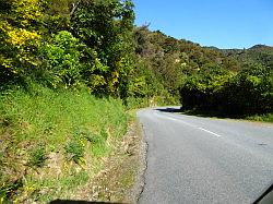 De Queen Charlotte track