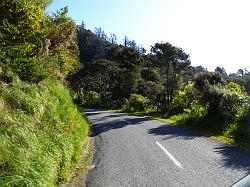 De Queen Charlotte track