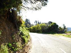 De Queen Charlotte track