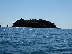 Kayak - Abel Tasman Nationaal park