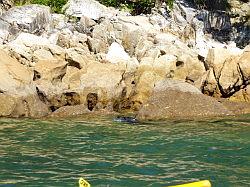 Kayak - Abel Tasman Nationaal park