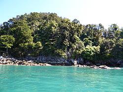 Kayak - Abel Tasman Nationaal park