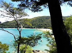 Kayak - Abel Tasman Nationaal park