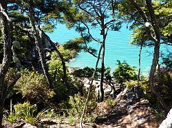 Kayak - Abel Tasman Nationaal park