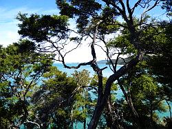 Kayak - Abel Tasman Nationaal park