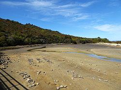 Kayak - Abel Tasman Nationaal park