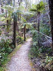 Oparara Basin