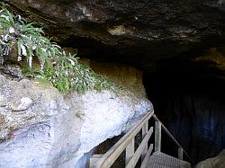 Oparara Basin