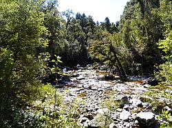 Oparara Basin