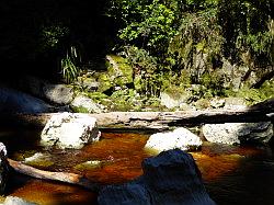 Oparara Basin