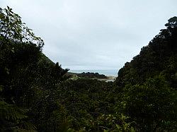 Heaphy Track 