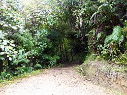 Heaphy Track 