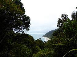 Heaphy Track 