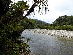 Heaphy Track 