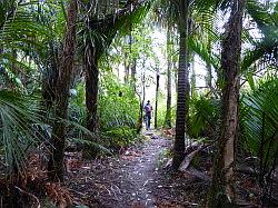 Heaphy Track 