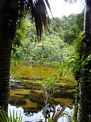 Heaphy Track 