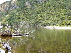 Heaphy Track 