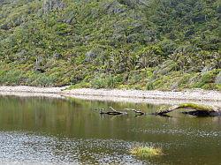 Heaphy Track 