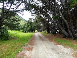 Heaphy Track 