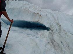 Fox Glacier (heli hike)