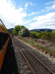 Taieri Gorge Railway