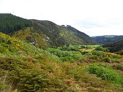 Taieri Gorge Railway