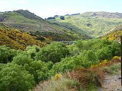 Taieri Gorge Railway