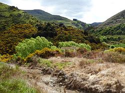 Taieri Gorge Railway