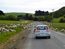 Southern Scenic Road