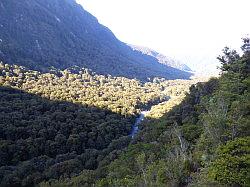 Milford Highway