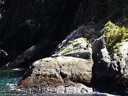 Milford Sound