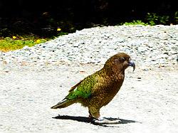 Milford Highway