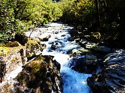 Milford Highway