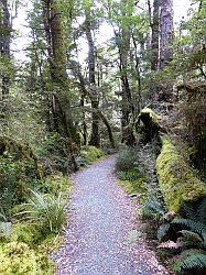 Milford Highway