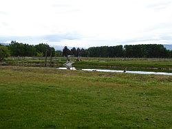 Otago Central Rail Trail (fietsen)